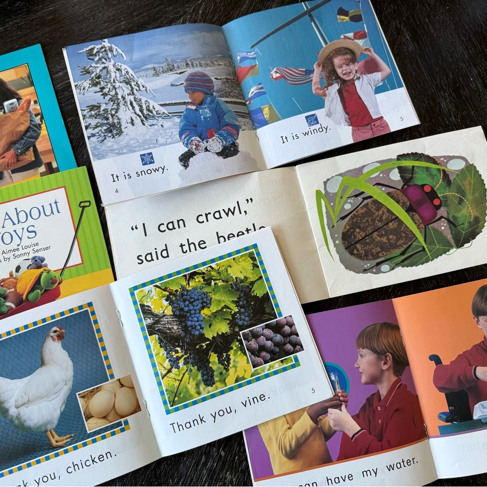 Children's Picture and Sight Word Books Collection